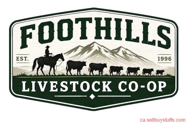 second hand/new: Foothills Livestock Co-op
