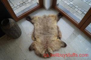 second hand/new: MELIERT Collection, natural sheepskins
