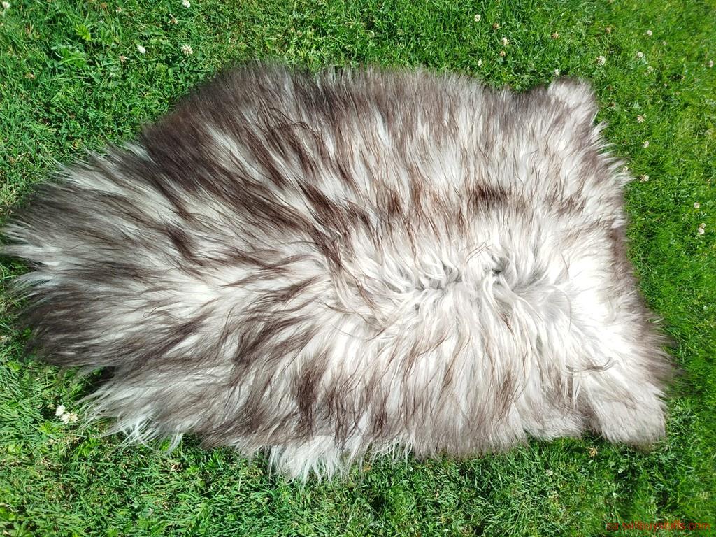second hand/new: Heidschnucke Premium Sheepskins