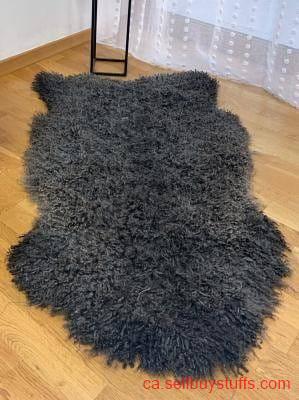 second hand/new: Premium curly Gotland Sheepskins