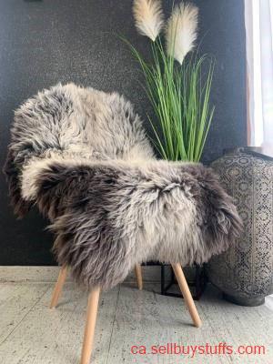 second hand/new: Premium Dutch Sheepskins