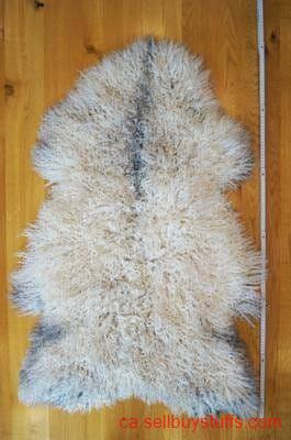 second hand/new: Premium curly Gotland Sheepskins