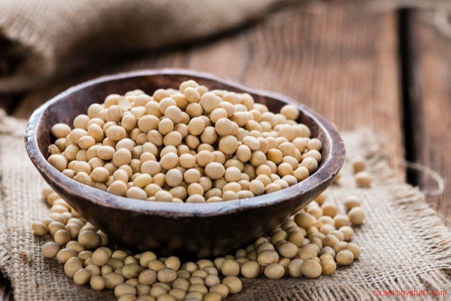 second hand/new: Soybean Crop Losing Vigor? Shop Soybean Nutrients for Healthier Growth