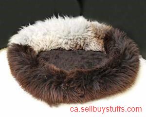 second hand/new: XXL sheepskin dogs beds, Premium