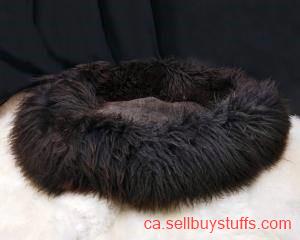 second hand/new: XXL sheepskin dogs beds, Premium