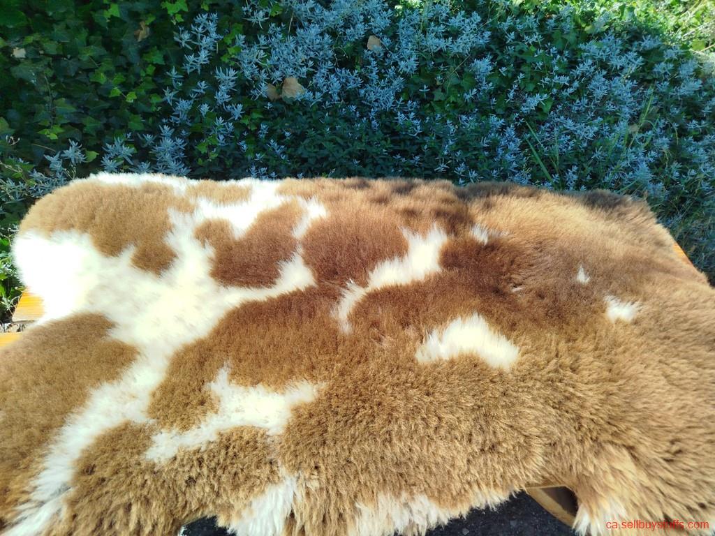 second hand/new: Premium Dutch Sheepskins