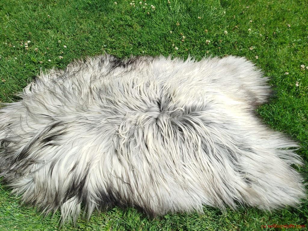 second hand/new: Heidschnucke Premium Sheepskins