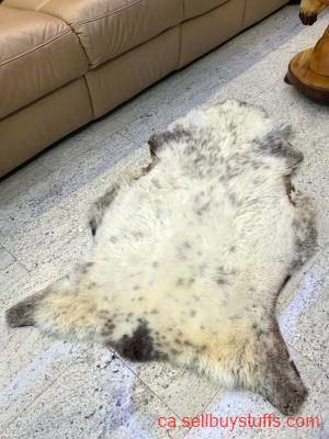 second hand/new: Polish sheepskins, highest quality