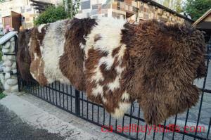 second hand/new: Premium Dutch Sheepskins