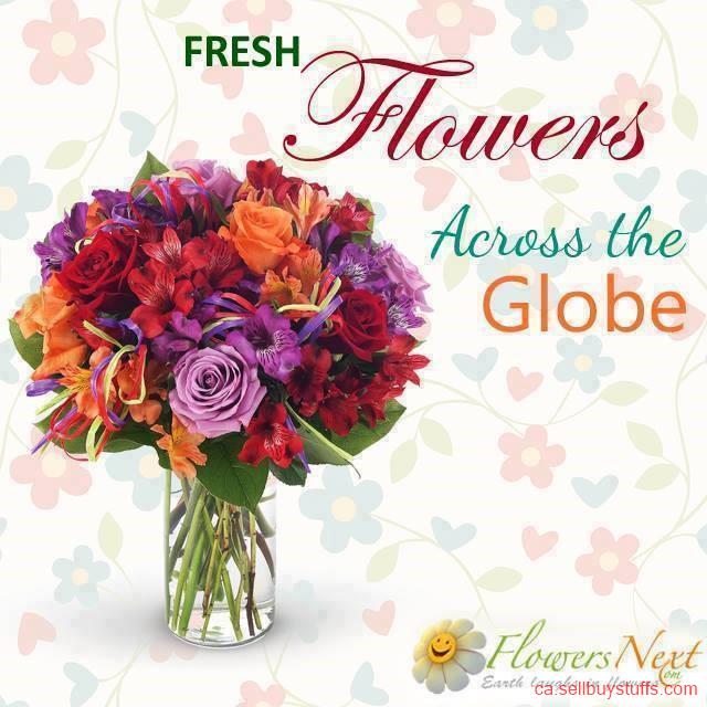 second hand/new: Online flower delivery in canada
