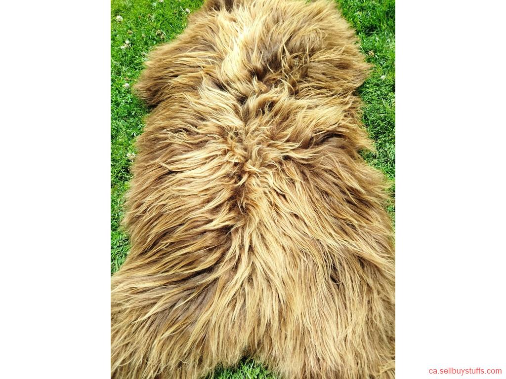 second hand/new: Heidschnucke Premium Sheepskins