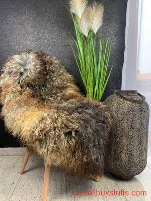 second hand/new: Premium curly Gotland Sheepskins