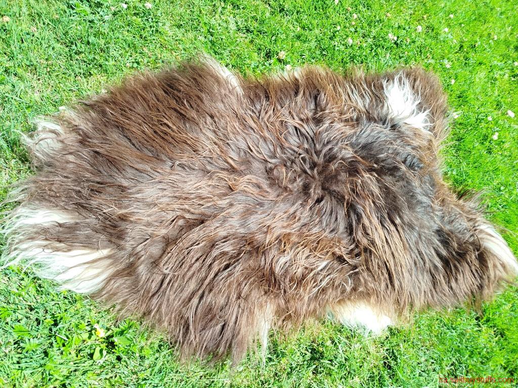 second hand/new: Heidschnucke Premium Sheepskins