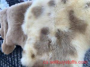 second hand/new: MELIERT Collection, natural sheepskins