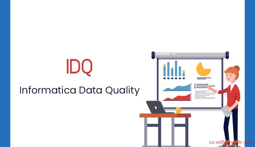 second hand/new: Informatica IDQ Online Training from India 