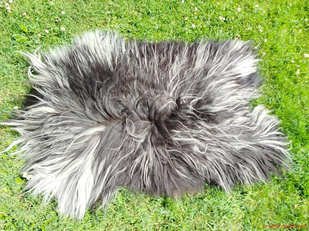 second hand/new: Heidschnucke Premium Sheepskins