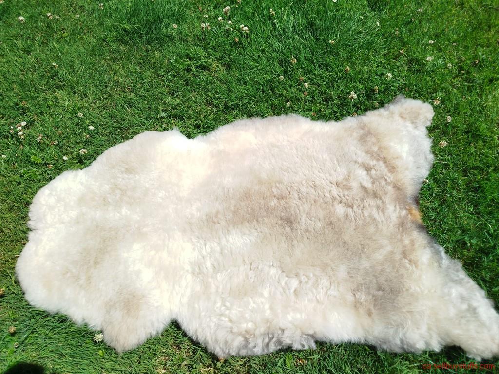 second hand/new: Premium Swedish Sheepskins